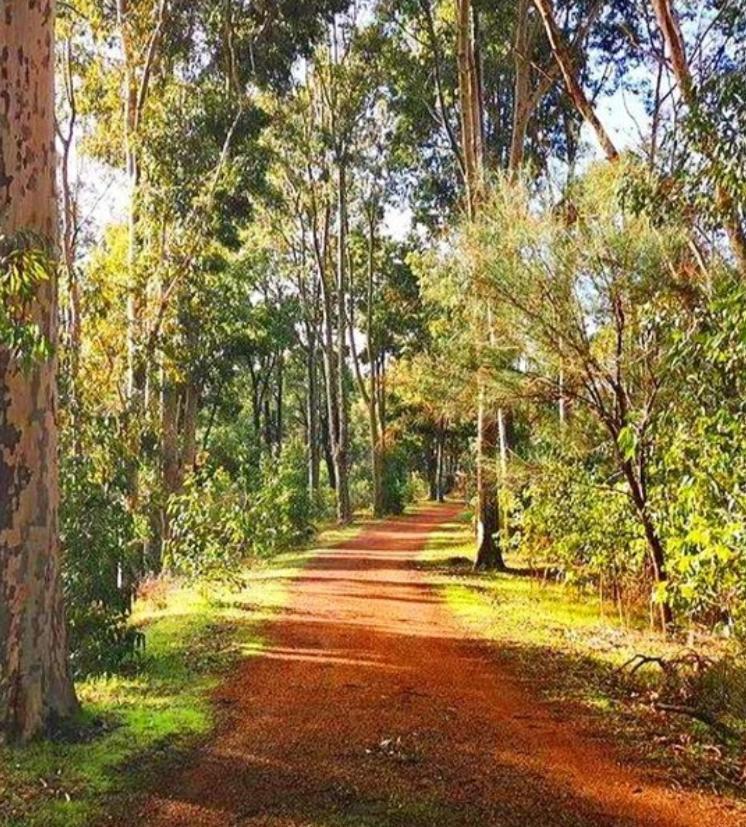 Mahogany Creek Mahogany Inn And Distillery מראה חיצוני תמונה